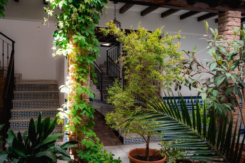 Zonas Comunes del Apartamento Turístico Quality Homes Caldelería Vieja en Granada